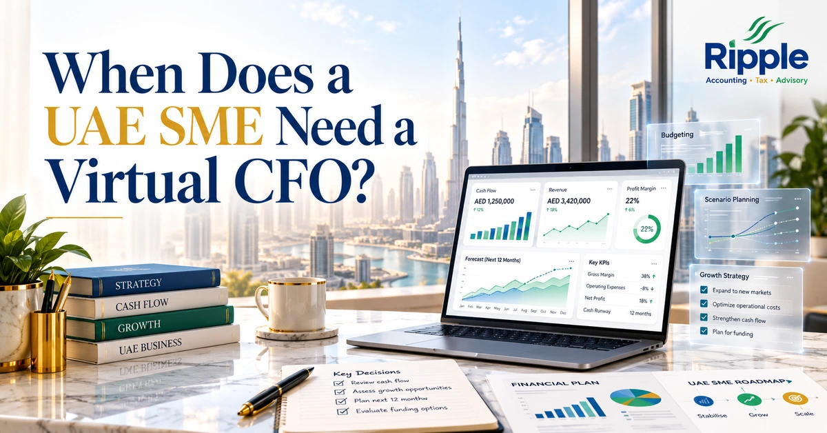 When Does a UAE SME Need a Virtual CFO