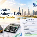 How to Calculate Salary in UAE